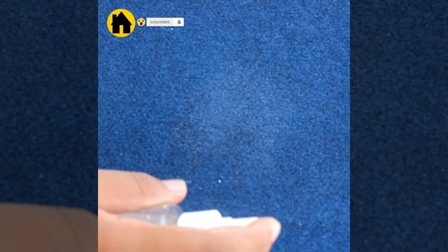 How to Get Old Dog Urine Smell Out of Carpet | DIY Homemade Carpet Cleaner смотреть онлайн