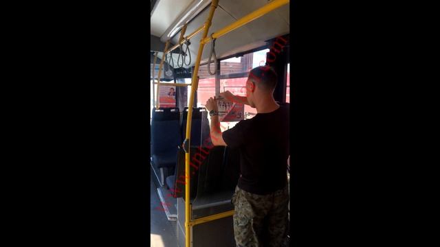 Стартовало размещение рекламы в автобусах студии танца "MYDANCE" в городе Белгород смотреть онлайн