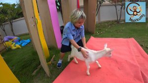 Новая игрушка друг сюрприз для Милана. МанкиТайм