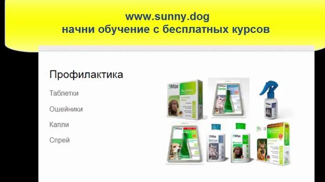 Профилактика пироплазмоза. Защита от клещей. смотреть онлайн
