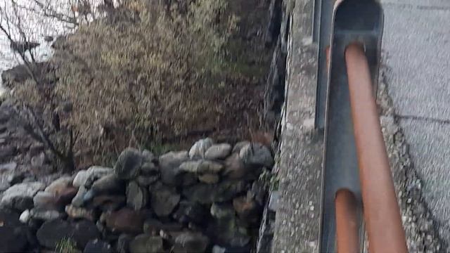 Рассуждения о СанПьетринах и их связи с именем Петр....а также о каннибализме в"Британии" и о Festa смотреть онлайн