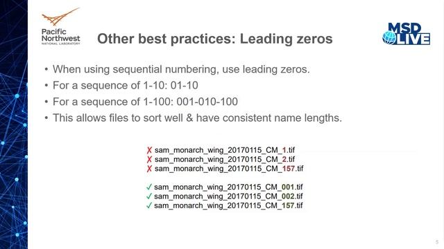 Best Practices for File Naming Conventions and Folder Hierarchy смотреть онлайн