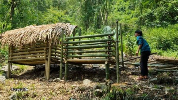 How to build a life on the farm, build a bamboo pigpen, Free life in the forest - ep.30