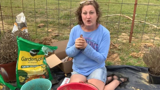 Planting gladiolus corms , bulbs /gladiolus смотреть онлайн