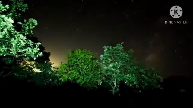 Ночное небо и мелодия смотреть онлайн