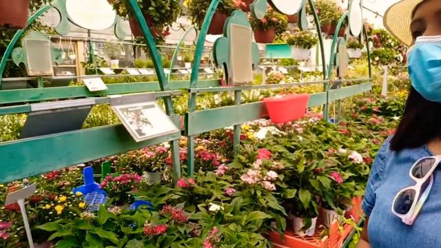 Israel Nursery Plant. Gusto ko lahat bilhin. смотреть онлайн