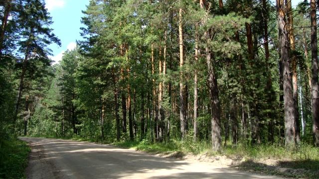 Фотографии природы. смотреть онлайн