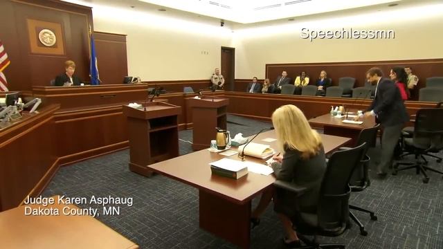 Mother goes to jail for Parental Alienation смотреть онлайн