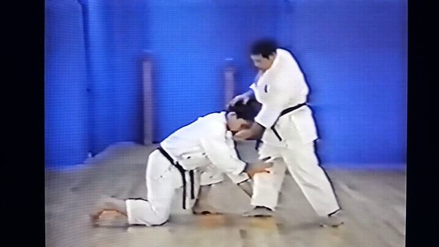 Рус. Бункай Сайфа. Морио Хигаонна. смотреть онлайн