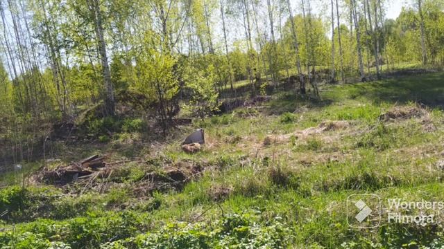 прогулка в лесу проходя деревни. смотреть онлайн