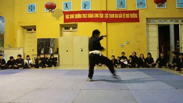 Форма Змеи, школа Thieu Lam, Ханой. 2011