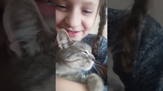 Моя кошка стала быком🗿 смотреть онлайн