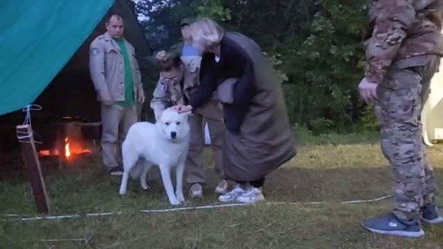 video5375515706861301244