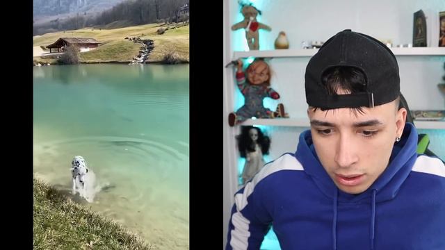 daca spui "WOW" AI PIERDUT!! (greu) 😱 смотреть онлайн