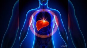 МЕДИТАЦИЯ НА ОЧИСТКУ И НАПОЛНЕНИЕ ПЕЧЕНИ