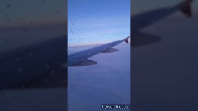 Из симферопольского тумана в питерский за 8 минут смотреть онлайн