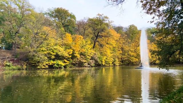 УМАНЬ «СОФИЕВСКИЙ ПАРК» 22 ОКТЯБРЯ 2023 ? ? ?❗️ЧЕРКАССКАЯ ОБЛАСТЬ❗️ смотреть онлайн