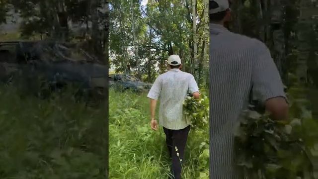 Как сделать березовый веник |Бизнес на вениках |Бизнес без вложений смотреть онлайн