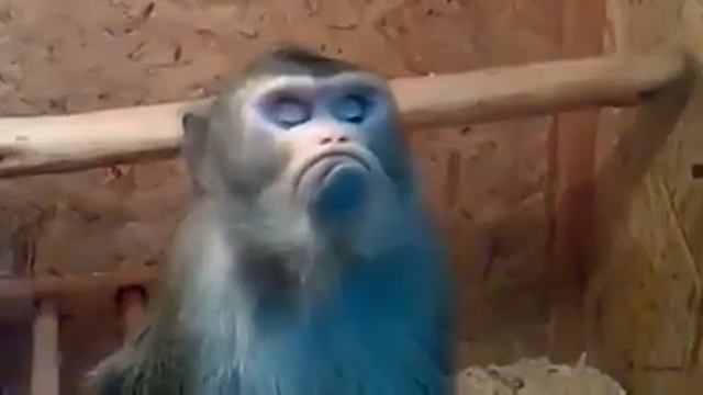 Когда девушка на тебя обиделась))) смотреть онлайн