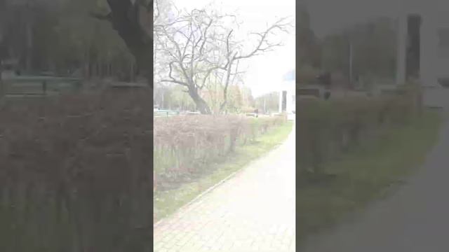 Психосоматика. Автор Лууле Виилма. Использована песня в исполнении Дана Балана. смотреть онлайн