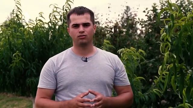 "Школа Фермера": О технике внесения минеральных удобрений смотреть онлайн