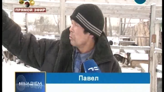 ДЕН 26 12 2017_msmpeg4 смотреть онлайн