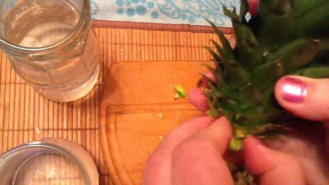 Укоренение Ананаса смотреть онлайн