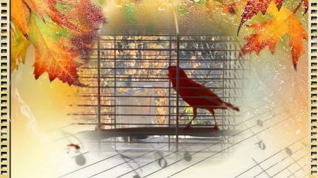 Кенар - НОВЫМИ КРАСКАМИ ДЕНЬ РАСЦВЕТАЕТ... солирует на песню Сергея Гвоздики смотреть онлайн