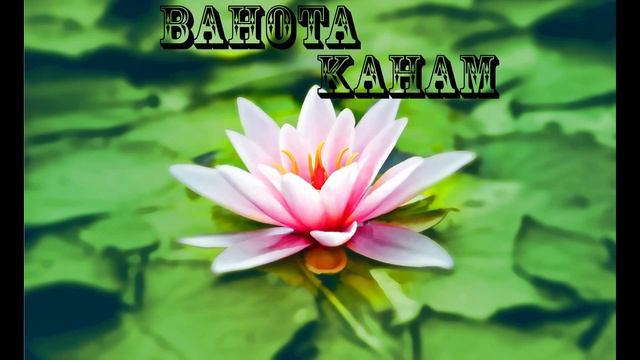 BAHOTA KAHAM The billionaire's Mantra Listen Every day смотреть онлайн