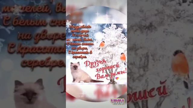 Доброго зимнего утра! Замечательного дня! смотреть онлайн