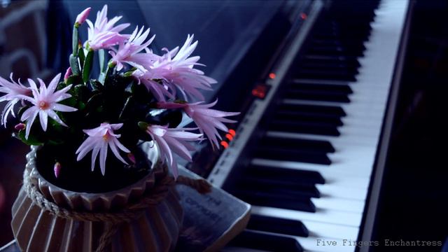 Sweet piano (lofi) - Spring in Lorien смотреть онлайн
