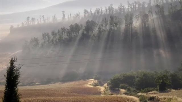 Милана читает стихи... Жаворонок смотреть онлайн