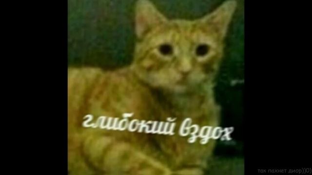 Я хотел тебе сказать… смотреть онлайн