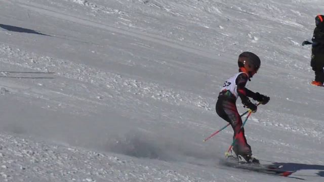 Alex Wong Liam Miller U10 TRS Parallel Alpine 1 22 2023 смотреть онлайн