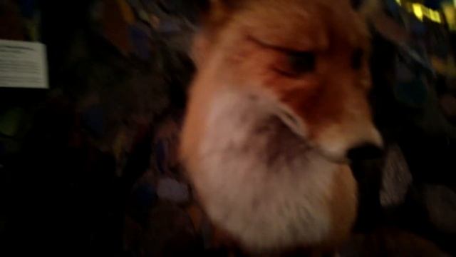 М130 - Музей леса - Москва - день 6 - видео 5 - Немец снова офигевает в России смотреть онлайн