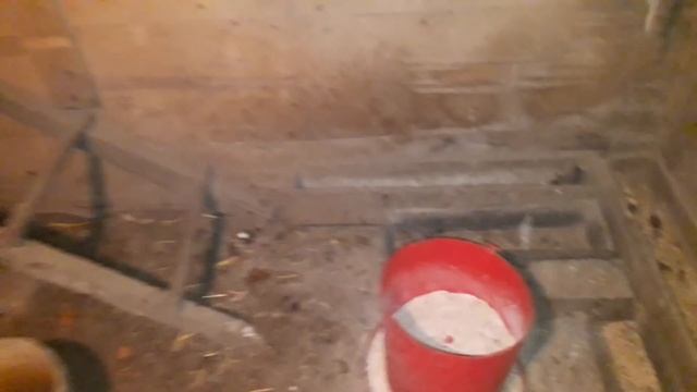 Чтобы куры неслись зимой смотреть онлайн