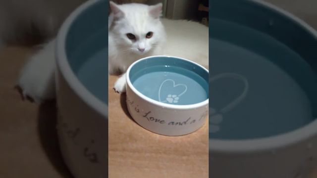 ВОДА. БЕЛАЯ. МОКРАЯ 😂