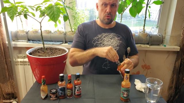 35 Дегустирую острые соусы и БХУТ! 06.10.21 смотреть онлайн