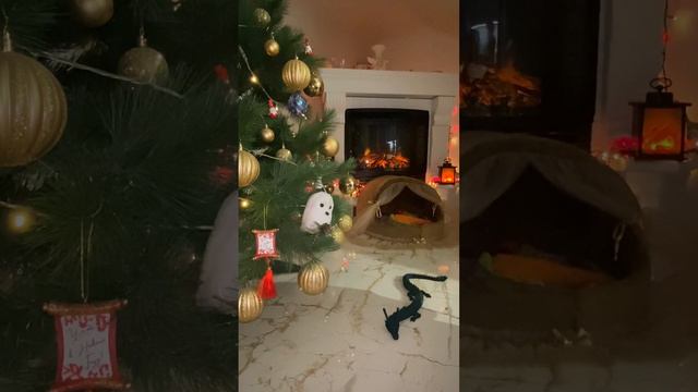 С новым 2024 годом, друзья 🎄#новыйгод #годдракона #2024 смотреть онлайн