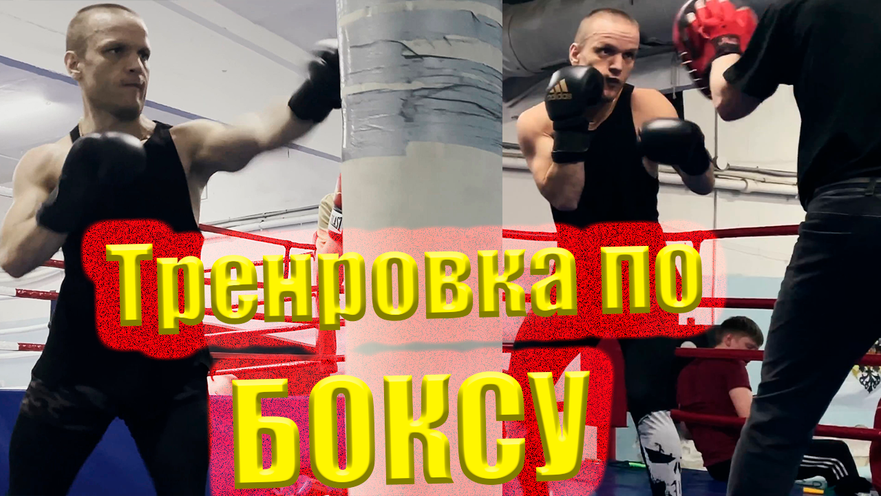 Моя Первая Тренировка по БОКСУ и сразу Работа на Лапах с Тренером смотреть онлайн
