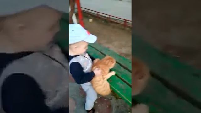 Мучает кошку смотреть онлайн