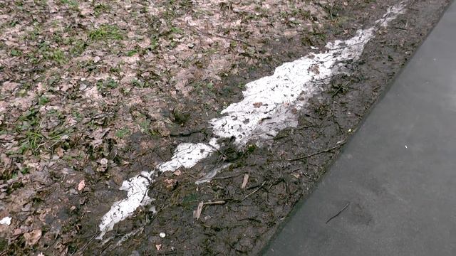 Прогулка в лес за мхом (07 04 2017). смотреть онлайн
