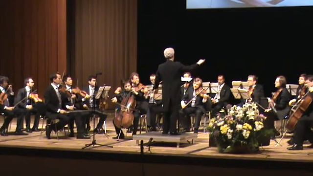 P.Tchaikovsky Nocturne for Cello.П.И.Чайковский Ноктюрн. смотреть онлайн