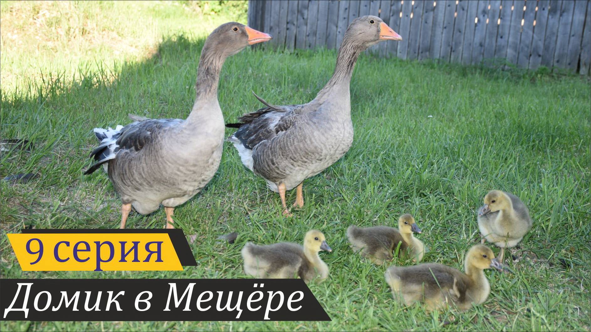 Папы нет, зато две мамы. Домик в Мещёре, серия 9 смотреть онлайн