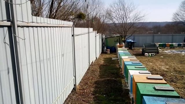 Почему не изолирую маток смотреть онлайн