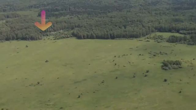 Fly HD 1 смотреть онлайн