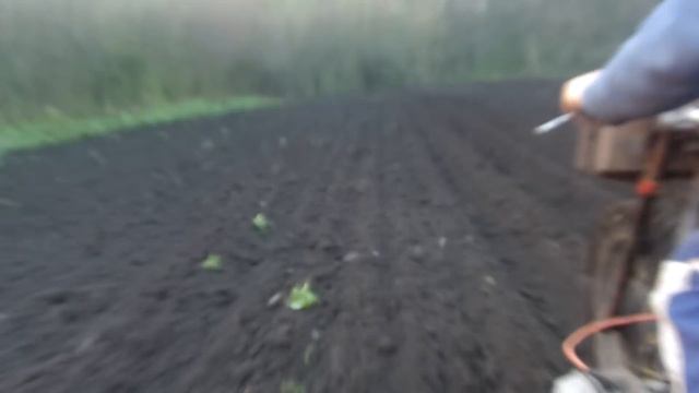 Посадка и уборка картофєля трициклом смотреть онлайн