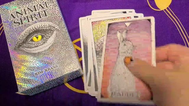 Animal Spirit Oracle Deck Full flip thru смотреть онлайн