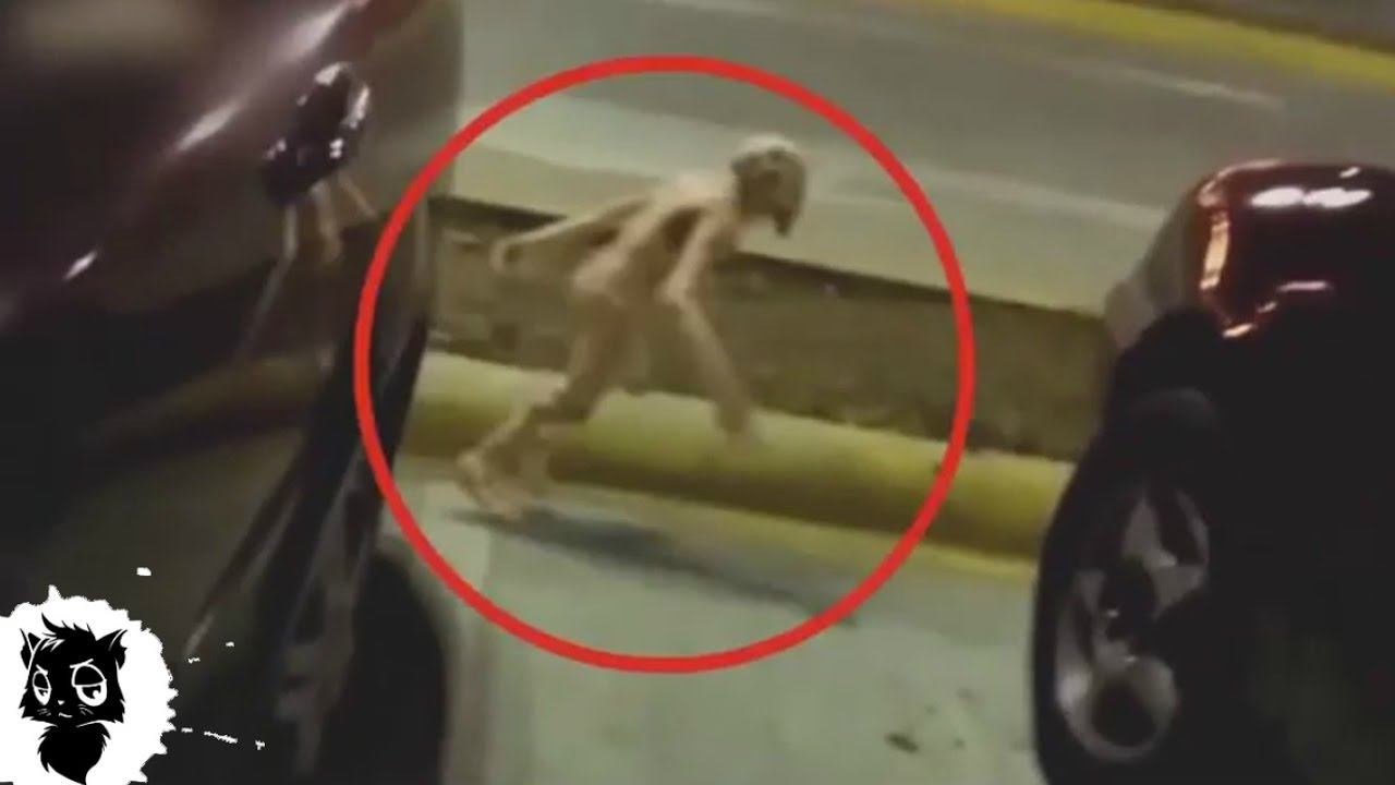 5 ХОББИТОВ СНЯТЫХ НА КАМЕРУ [Черный кот] смотреть онлайн