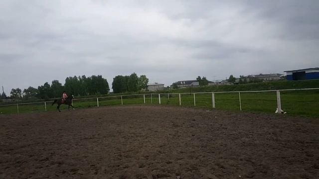 Иппотерапия Ульяновск смотреть онлайн